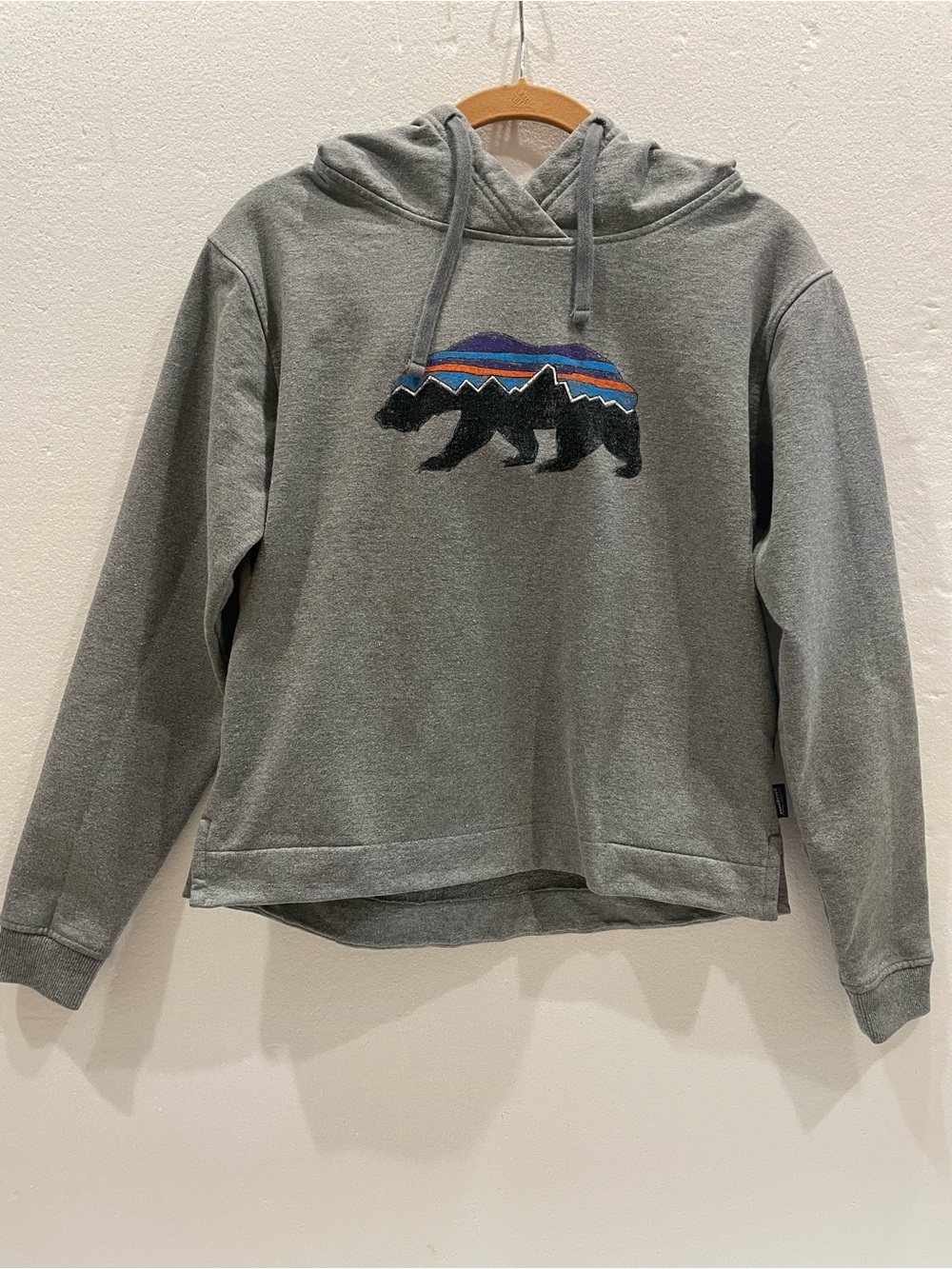 Patagonia Hooded Pullover sweatshirt